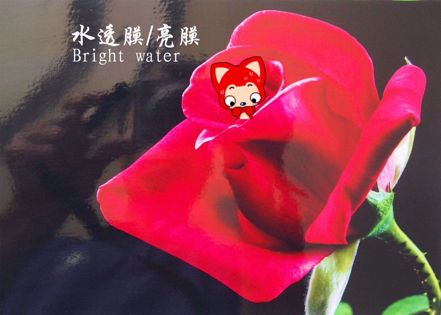 ورشش إعلان BPVC Black Farch Black Bark على أغشية رقيقة من الغطاء الواقي الواقي detail image 4