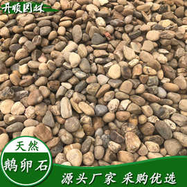 鹅卵石价格图片 园林鱼缸鹅卵石原产地批发