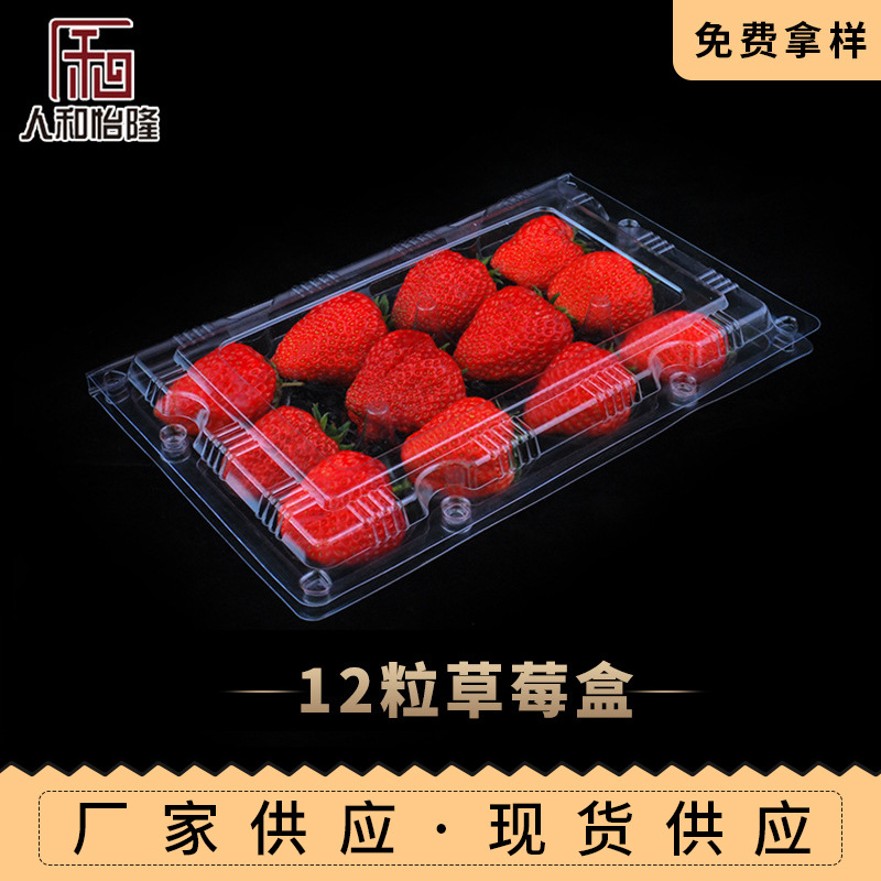 防震草莓托盘 12粒草莓盒 透明塑料水果包装盒礼品盒