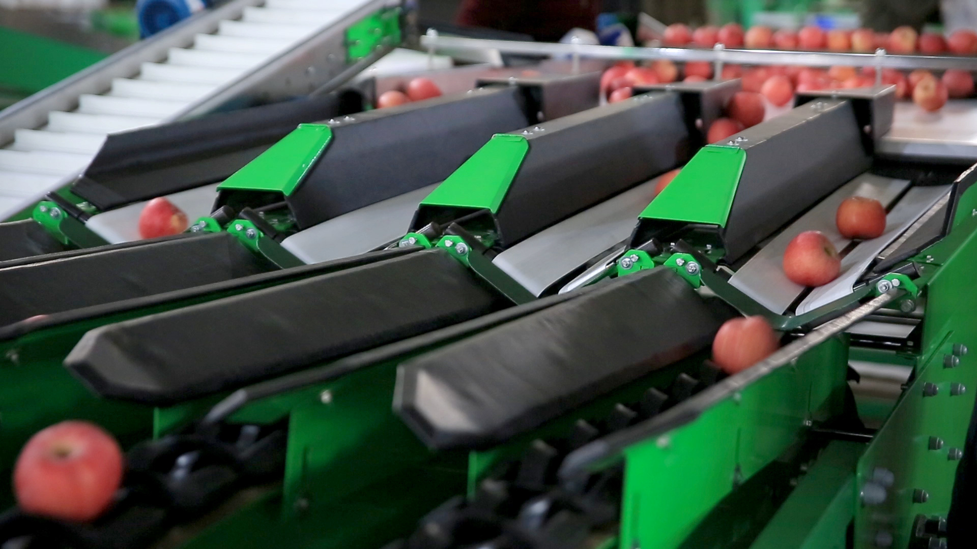 销售电脑分选机 分级机 洗果打蜡机 ce认证 质量保障