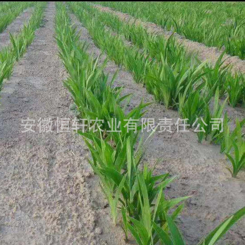 QQ图片20200207095846