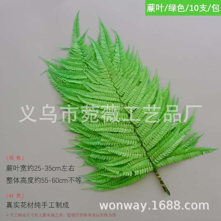 微信图片_20200601160101