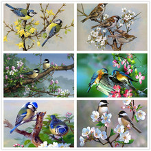 5D�ʯ���M��Bdiy�N�ʮ�ֽ��ʯ���͏d�b�˽�˶��Ɣ����ͮ�