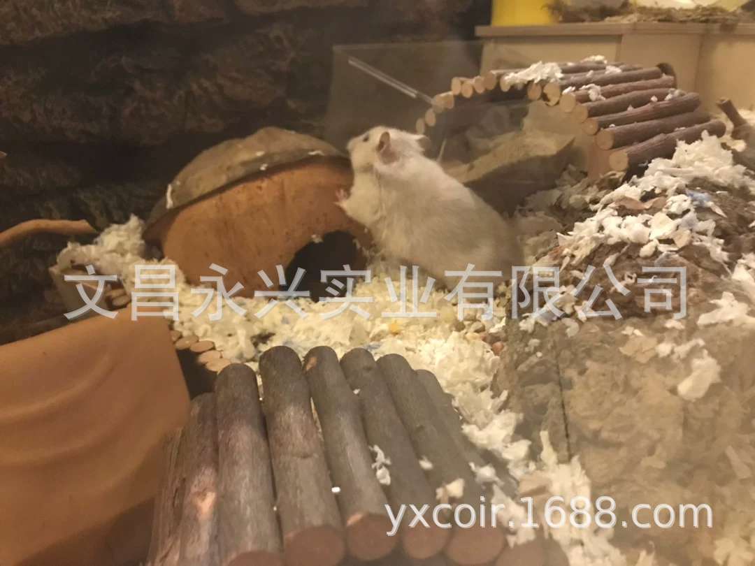 微信图片_20200423172319