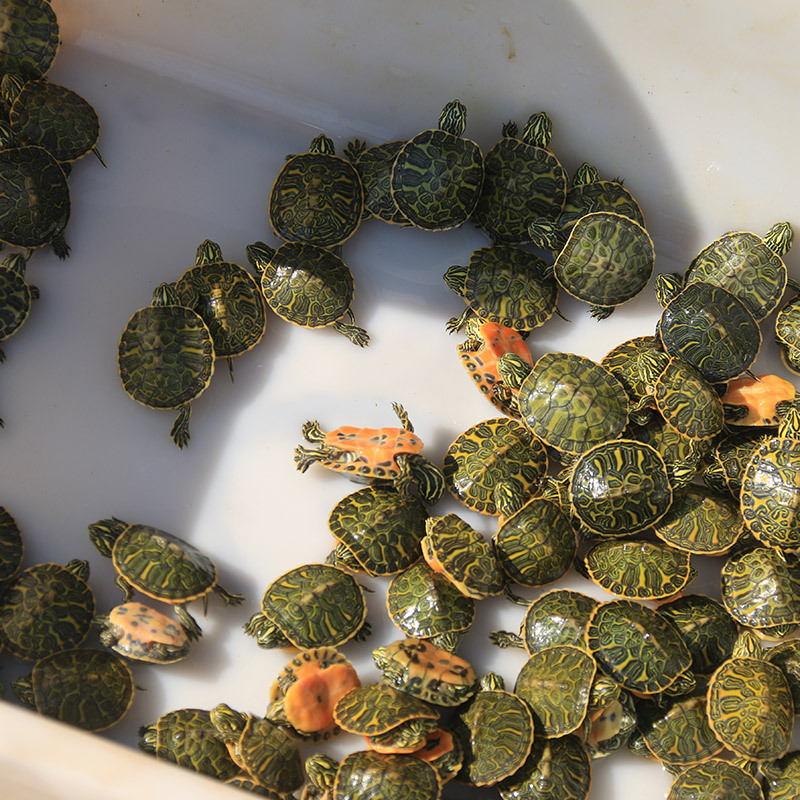 O1CN01K05Ngd2Id757TFzk7_!!2336