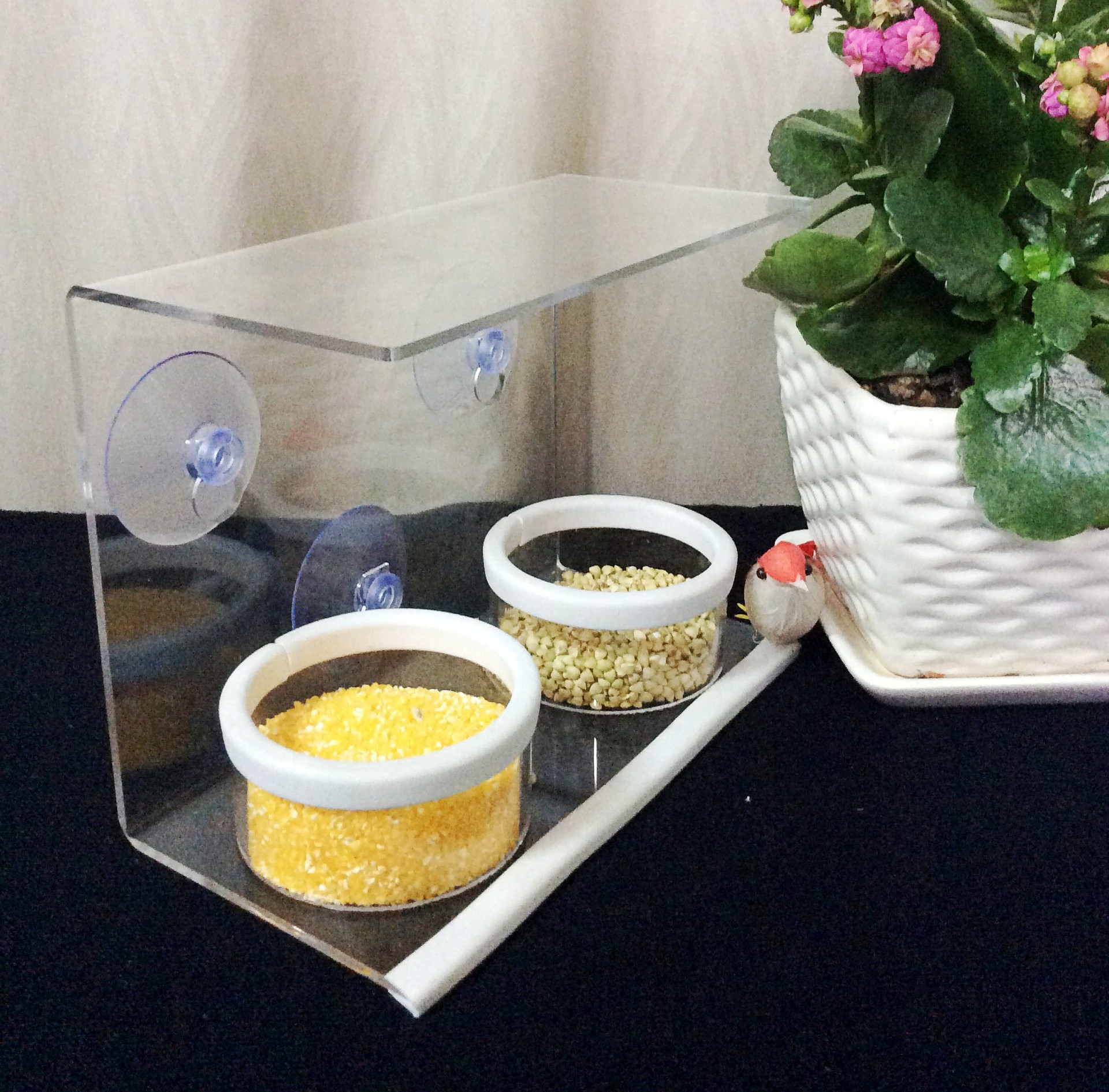 HC006 宁波工厂直供 尺寸可选  亚克力窗口喂鸟器 有机玻璃鸟食盒