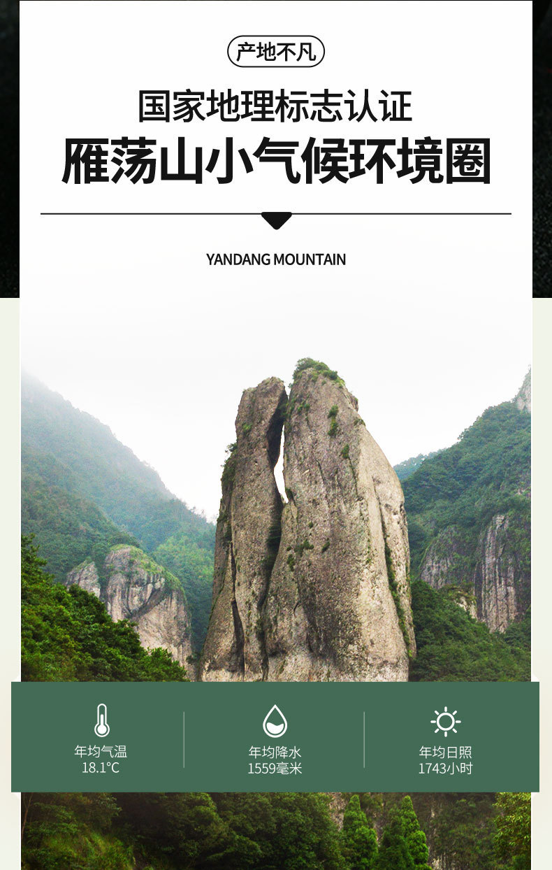 Dried Dendrobium Stem Fengdou 5 Year Shi Hu 30g Bottle for Decoction and Tea quality and texture