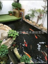 ���I�\���~�ؽ����~���^�Vϵ�y�OӋ  ����  �^�Vϵ�y��ϴ