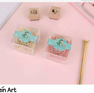 The New Creative Wholesale Qing Yifang TR-BB01299 Hey, Dinosaur Square Boxed Paper Clips
