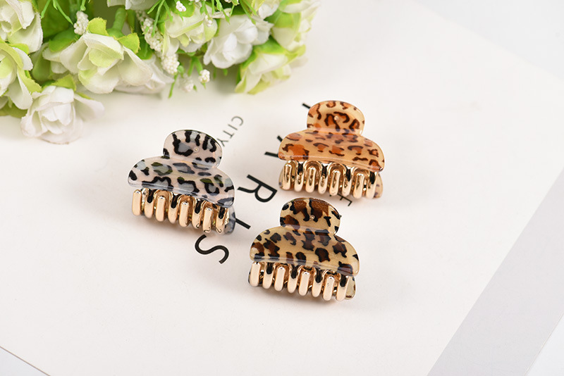 Women's Streetwear Leopard Arylic Carving Hair Claws display picture 1