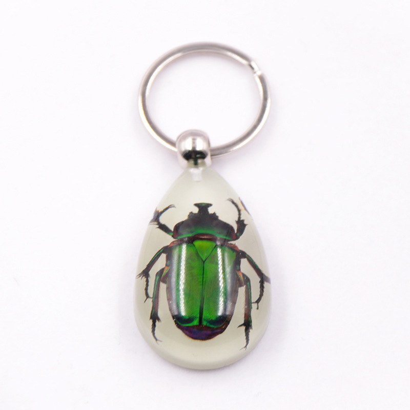 8944954638_1860590336