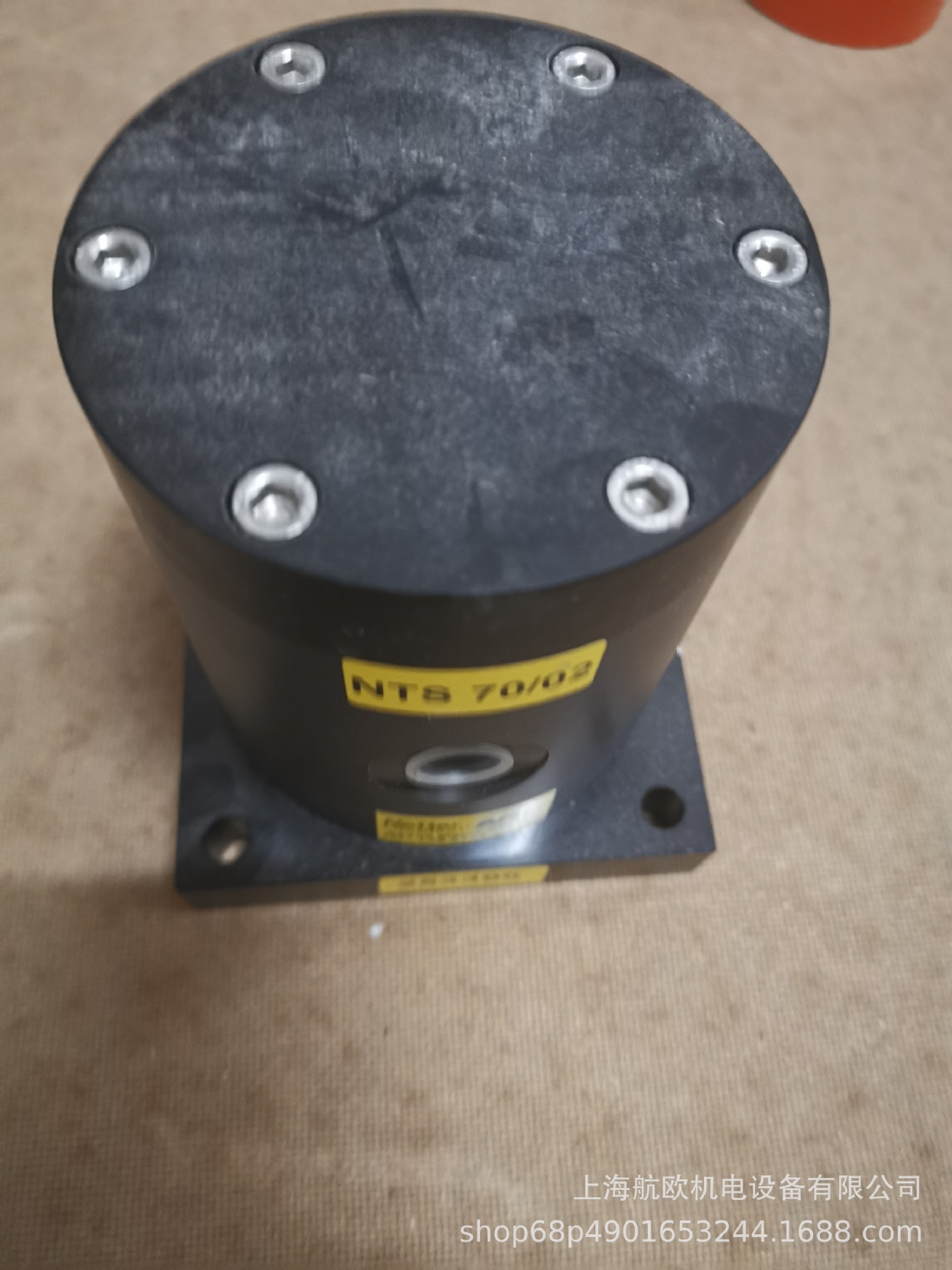 NETTER振动器   NTS70/02