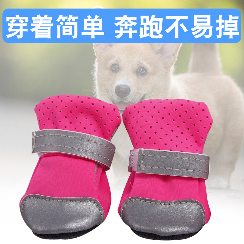 反光狗鞋