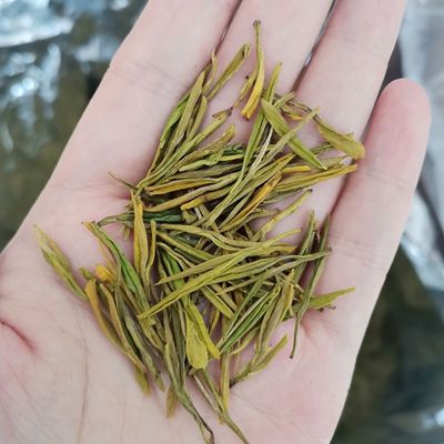 明前安吉黄金芽茶 批发安吉白茶黄金芽黄金叶茶 原产地茶厂直销