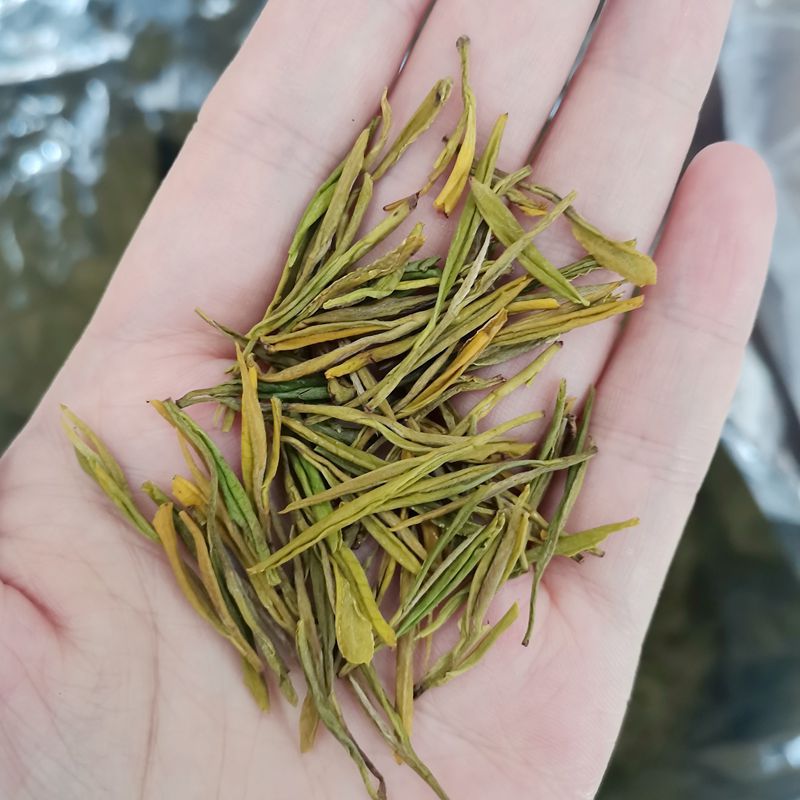 明前安吉黄金芽茶 批发安吉白茶黄金芽黄金叶茶 原产地茶厂直销