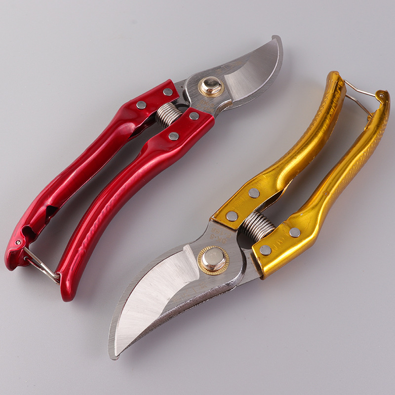 Xiao's Yilang Fruit Branch Cutting, Pruning, Fruit Tree Gardening Cutting, Pruning Tools, Bonsai Styling, Grafting Tools