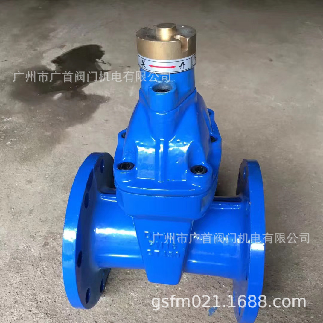 法兰暗杆闸阀Z45X-16Q 地埋式软密封暗杆闸阀DN100