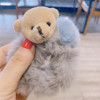 Cute elastic hair rope, hair accessory, with little bears, simple and elegant design