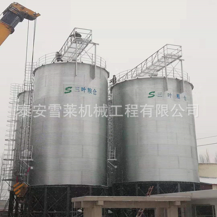 陕西养殖场用1000吨粮食钢板仓锥底粮仓方便出料智能管理立筒仓