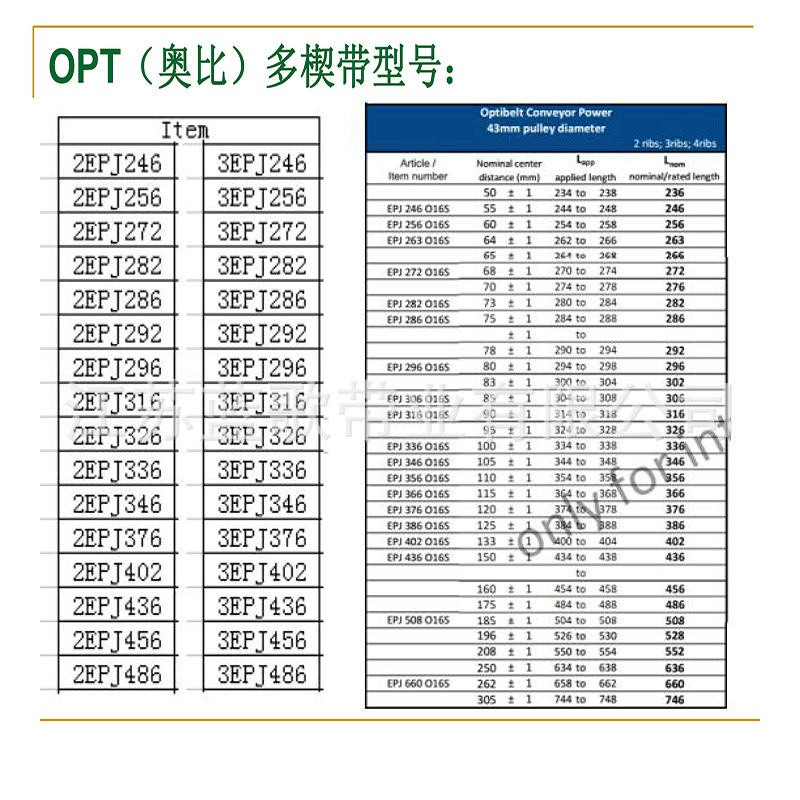多锲带型号
