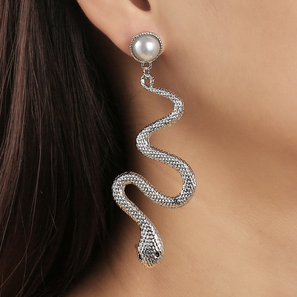 Retro Snake-shaped Long Earrings Wholesale Nihaojewelry display picture 15