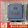 济宁供应EX100*100防爆电机接线盒，90*90铸铁电机接线盒|ms