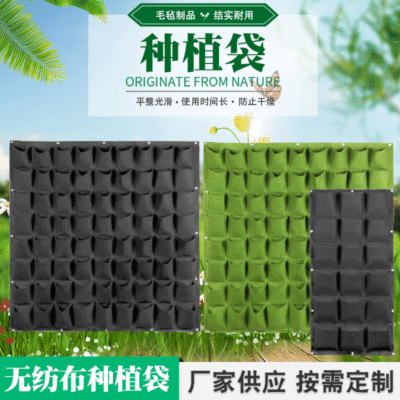 毛毡植物袋壁挂式无纺布种植袋墙绿化植物培育袋园艺袋生长袋定制