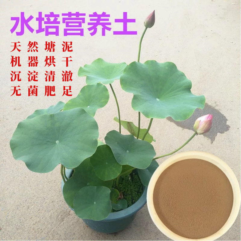 详情图