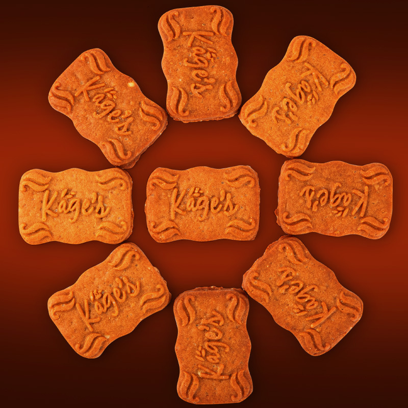 Reprehenderit qui in ea