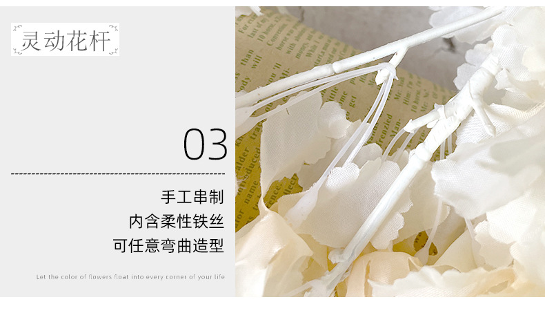 四叉飘雪_09.jpg