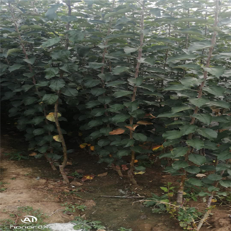 微信图片_202010061157369