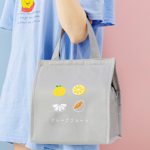 Japanese-style fashionable minimalist large-capacity fresh fruit colorful picnic insulated bag waterproof bento lunch box bag for wholesale