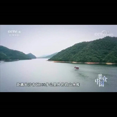 【有機魚】有機魚 有機魚批發 有機魚廠家貨源地産地 13874015185