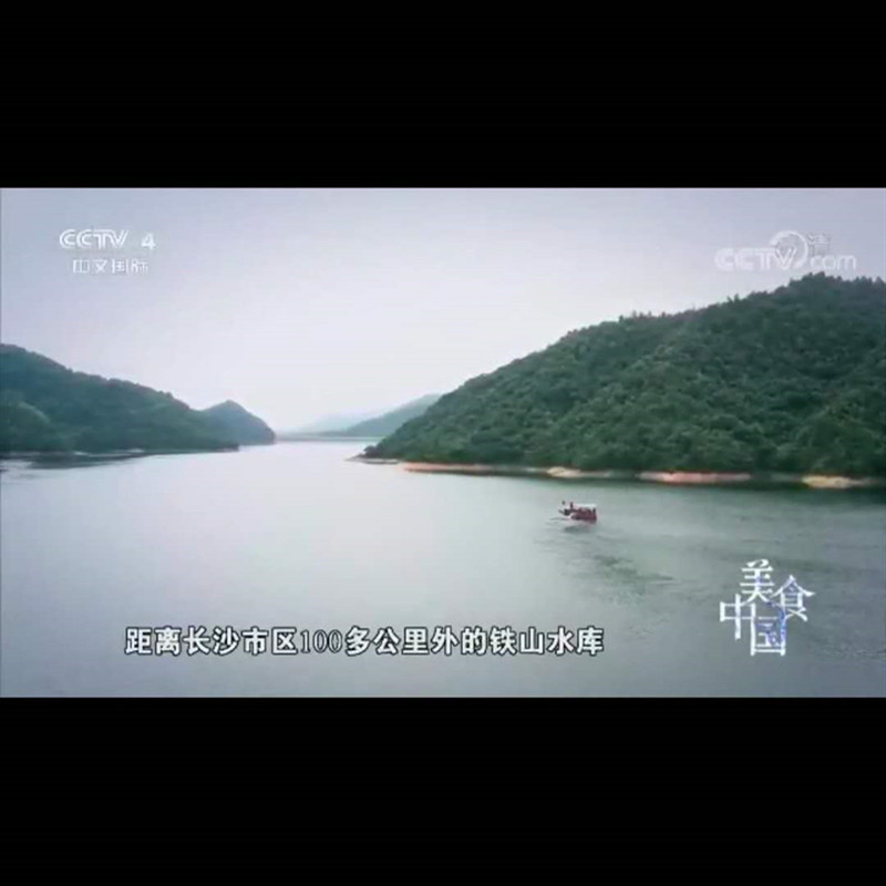 【有機魚】有機魚 有機魚批發 有機魚廠家貨源地産地 13874015185