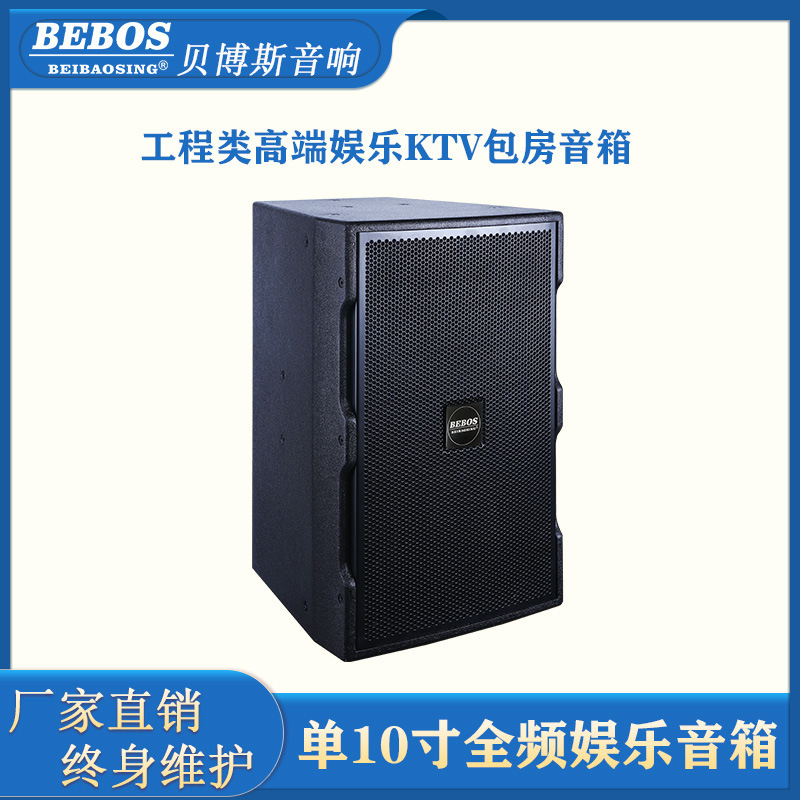 Single 10-inch professional KTV private room karaoke speaker karaoke private room audio ktv audio equipment suit cross-border