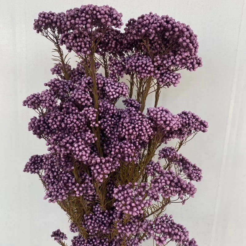 微信图片_20200408183248