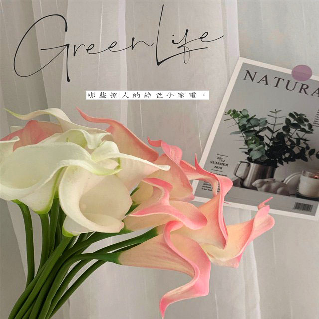 IMG_1912(20200525-130543)_wps图