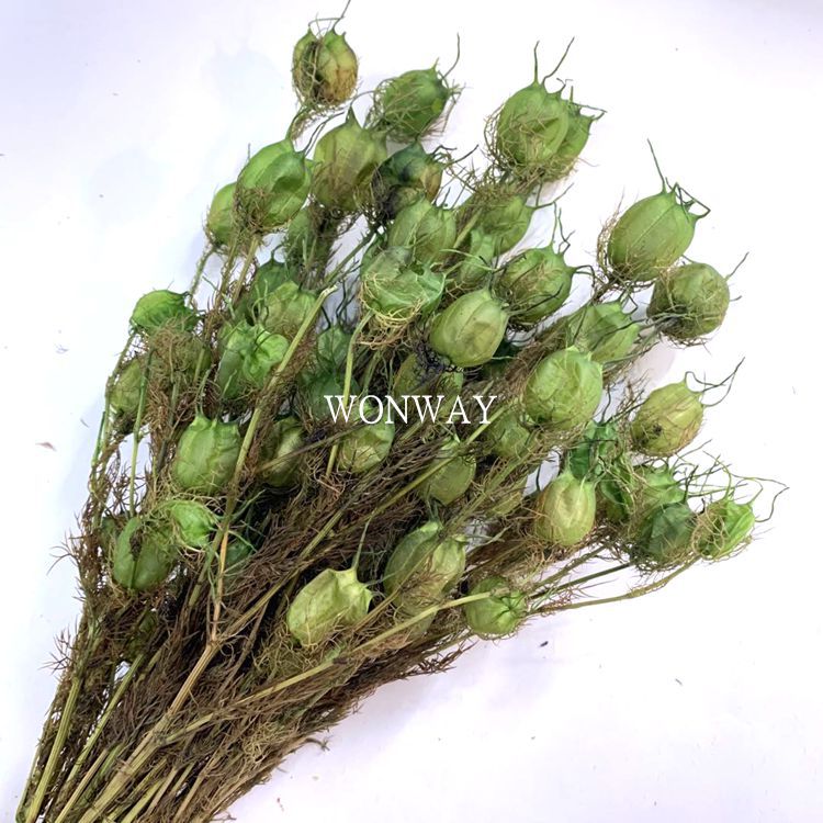 微信图片_20200224124709_副本