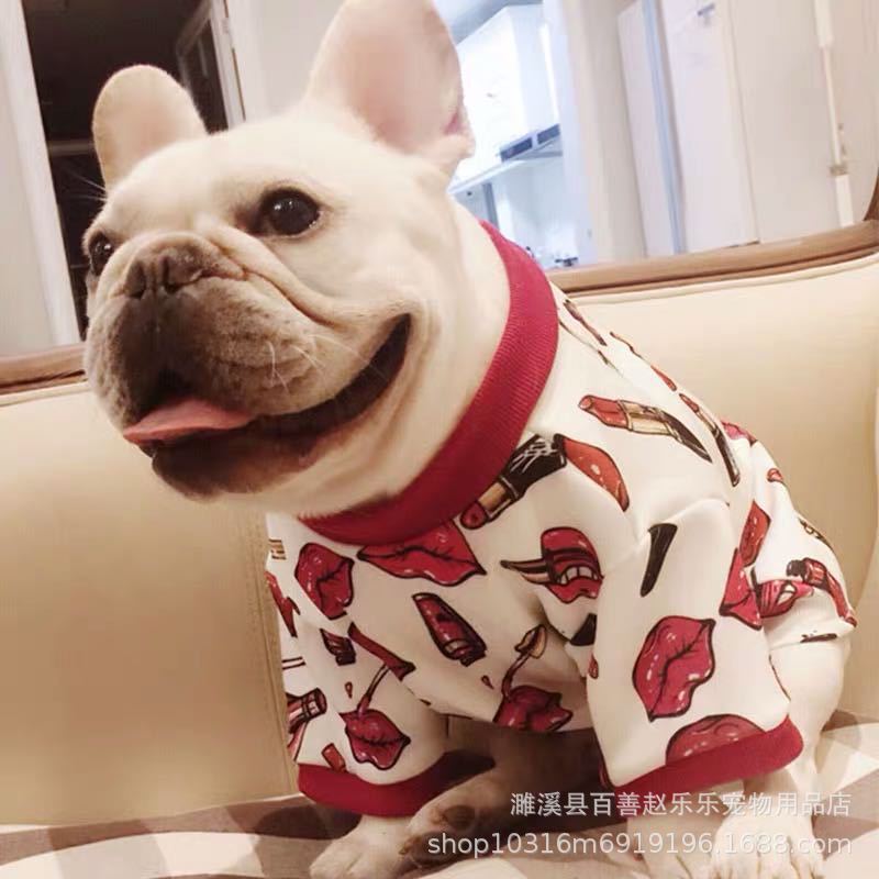 現貨純種法牛幼犬活體 純血統 法牛 活體寵物狗狗 定金價