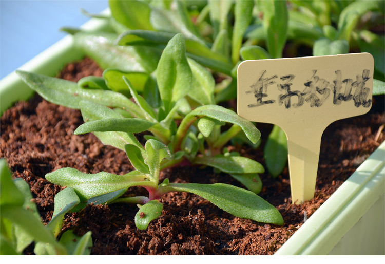 TB2ZPFna8LxQeBjy0FnXXcQwpXa_!!