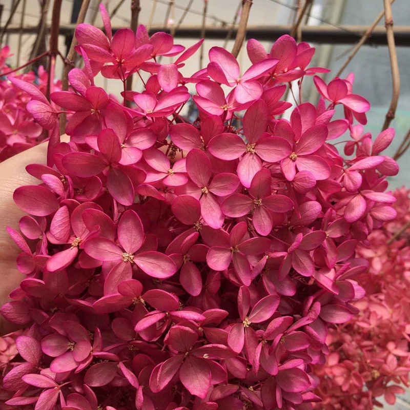 微信图片_20201025133650