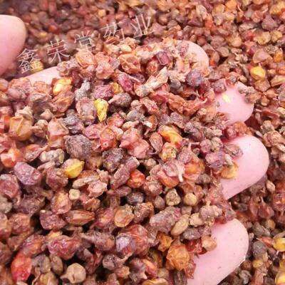 亳鑫榮堂批發中藥材 新疆沙棘 沙棘果 新貨