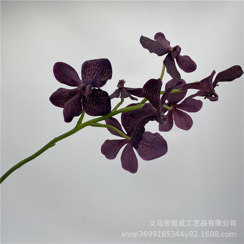 仿真花兰花万代兰蝴蝶兰千代兰绢花假花插花会所家居客厅装饰花-阿里巴巴