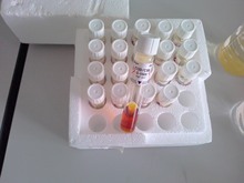 _2420720 2420721 2420722WCODԇzyx