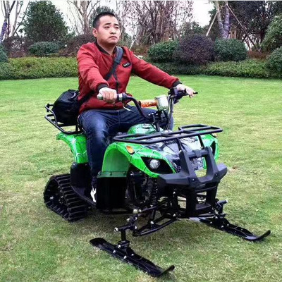 winter Exit Track Ski car Sleigh ATV adult children currency