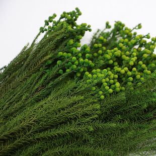 �M���ձ�����r�@���/�GɫС����/03100-700/����Diy/���������