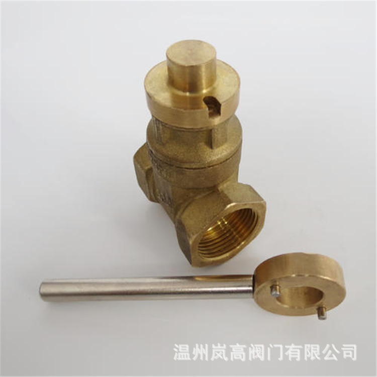 水表闸阀 磁性锁闭闸阀 内螺纹连接 黄铜闸阀 可按需定制 DN100