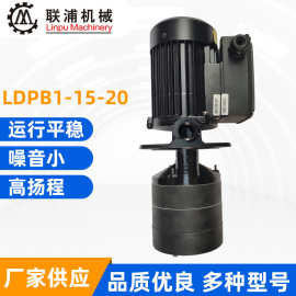 睿嘉 洛凯 浸入式切削液循环泵雕刻机雕铣机水冷机 LDPB1-15-20