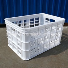 白色塑料筐 PE白色雞苗運輸物流筐 養殖場雞鴨苗筐周轉筐產地貨源