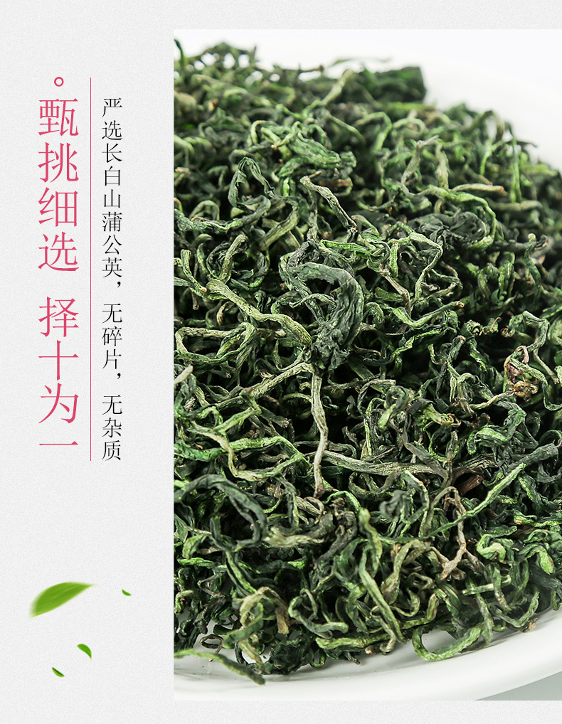 Dandelion Root Tea Bulk Loose Dried Pu Gong Ying Herbal Infusion 500g in use